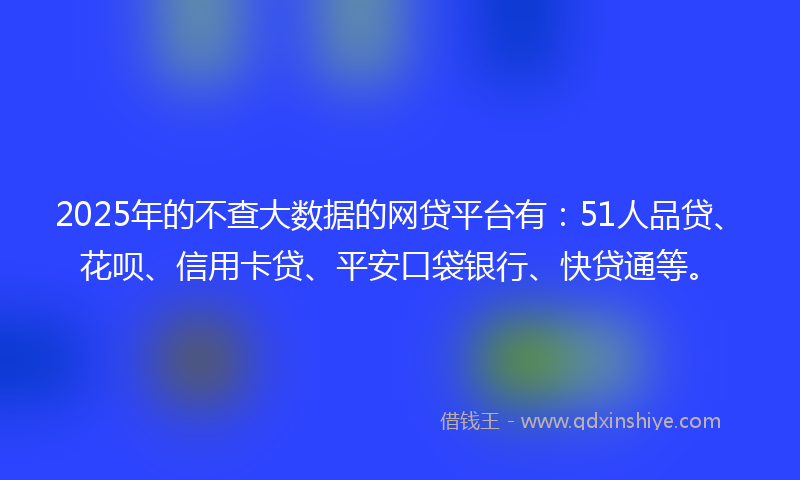 2025年的不查大数据的网贷平台有：51人品贷、花呗、信用卡贷、平安口袋银行、快贷通等。