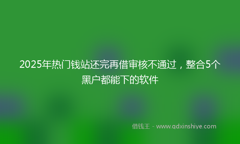 2025年热门钱站还完再借审核不通过，整合5个黑户都能下的软件