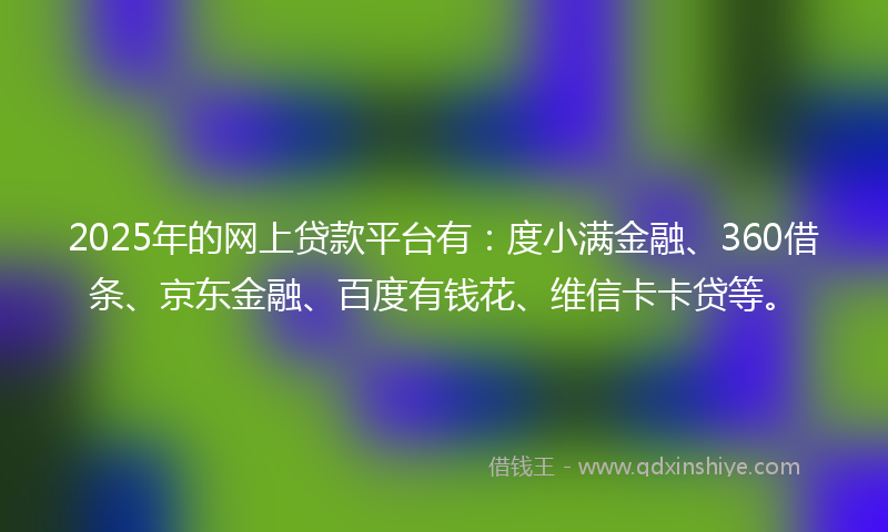 2025年的网上贷款平台有：度小满金融、360借条、京东金融、百度有钱花、维信卡卡贷等。
