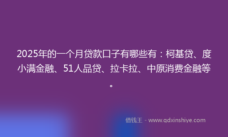 2025年的一个月贷款口子有哪些有：柯基贷、度小满金融、51人品贷、拉卡拉、中原消费金融等。