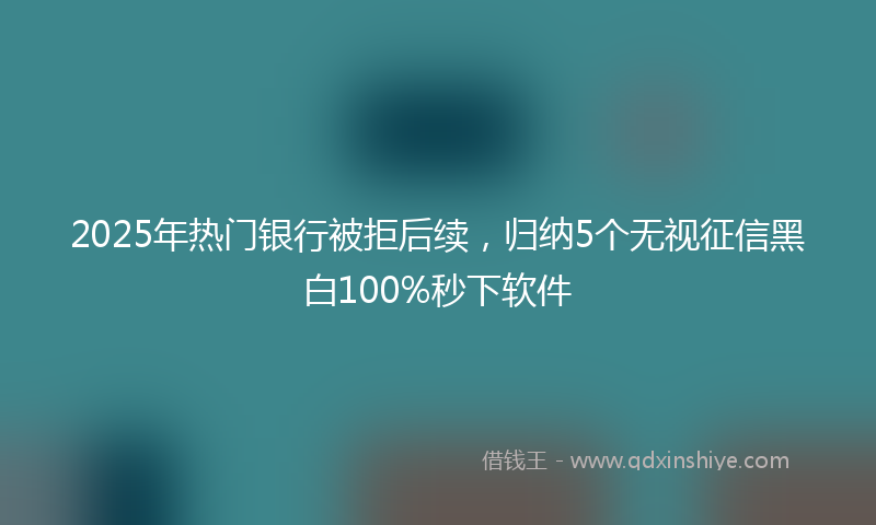 2025年热门银行被拒后续,归纳5个无视征信黑白100%秒下软件