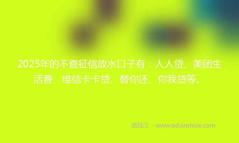 2025年的不查征信放水口子有：人人贷、美团生活费、维信卡卡贷、替你还、你我贷等。