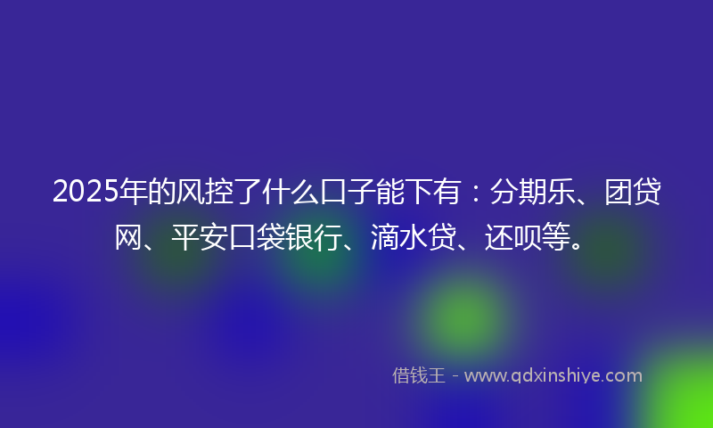 2025年的风控了什么口子能下有：分期乐、团贷网、平安口袋银行、滴水贷、还呗等。