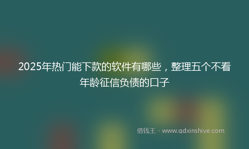 2025年热门能下款的软件有哪些，整理五个不看年龄征信负债的口子