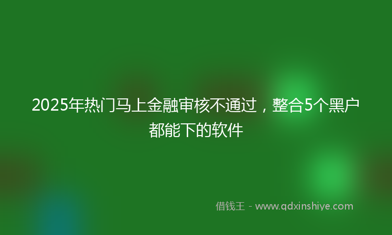 2025年热门马上金融审核不通过，整合5个黑户都能下的软件