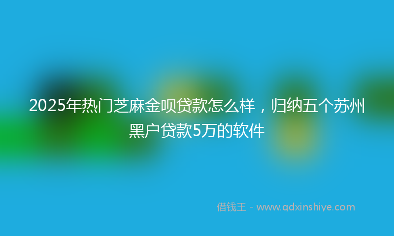2025年热门芝麻金呗贷款怎么样，归纳五个苏州黑户贷款5万的软件