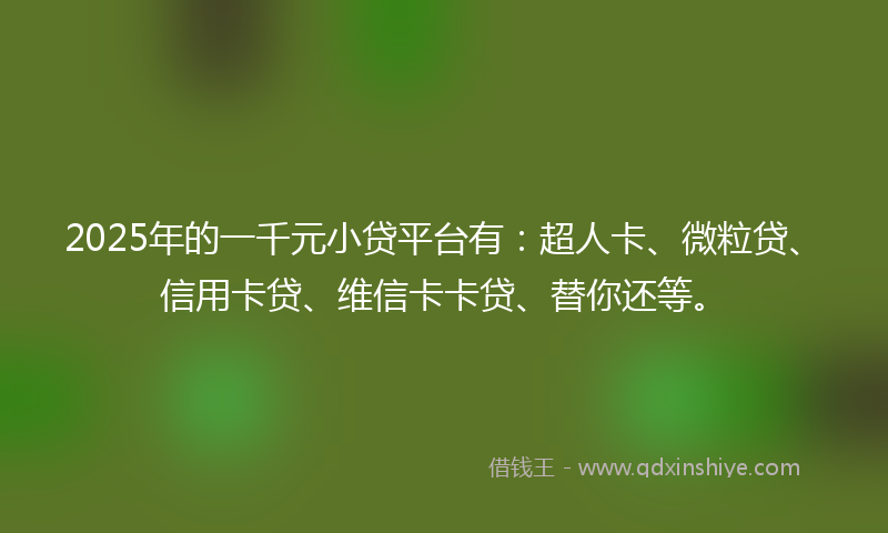 2025年的一千元小贷平台有：超人卡、微粒贷、信用卡贷、维信卡卡贷、替你还等。