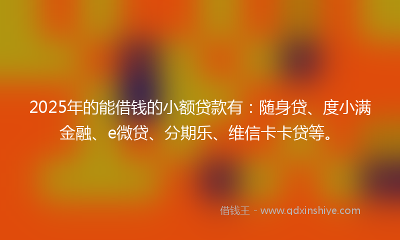 2025年的能借钱的小额贷款有：随身贷、度小满金融、e微贷、分期乐、维信卡卡贷等。