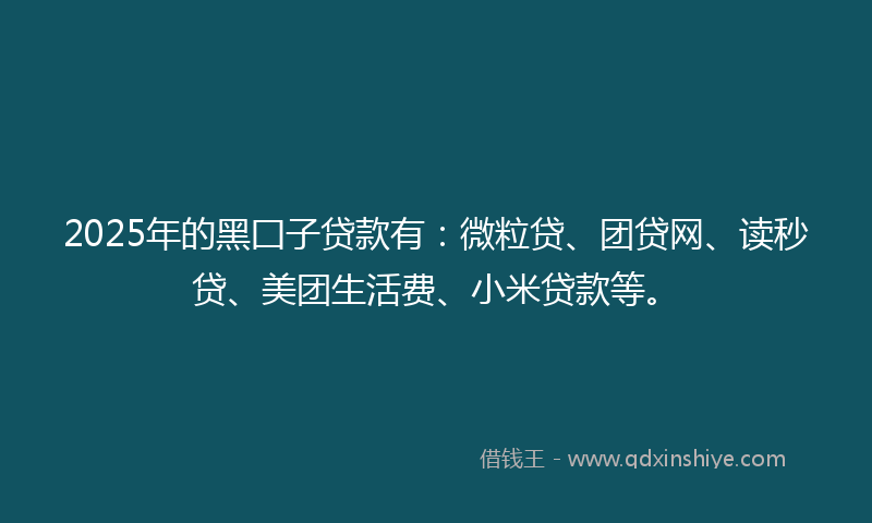 2025年的黑囗子贷款有：微粒贷、团贷网、读秒贷、美团生活费、小米贷款等。