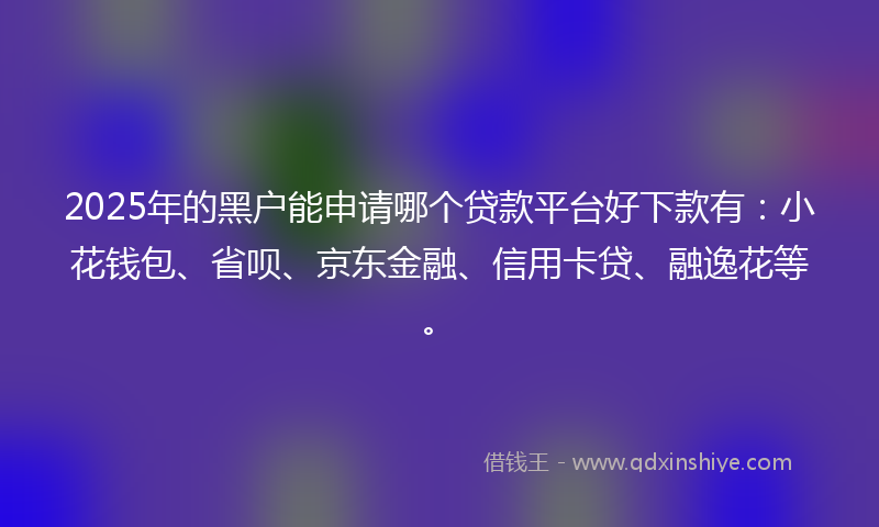 2025年的黑户能申请哪个贷款平台好下款有：小花钱包、省呗、京东金融、信用卡贷、融逸花等。