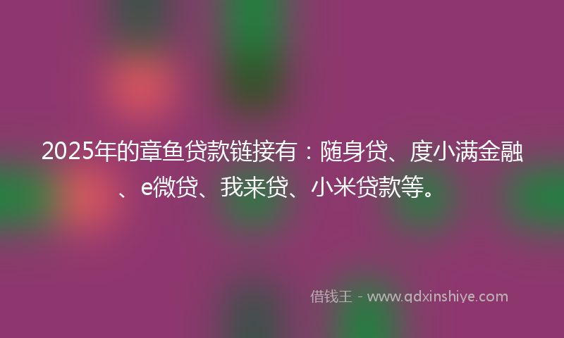 2025年的章鱼贷款链接有：随身贷、度小满金融、e微贷、我来贷、小米贷款等。