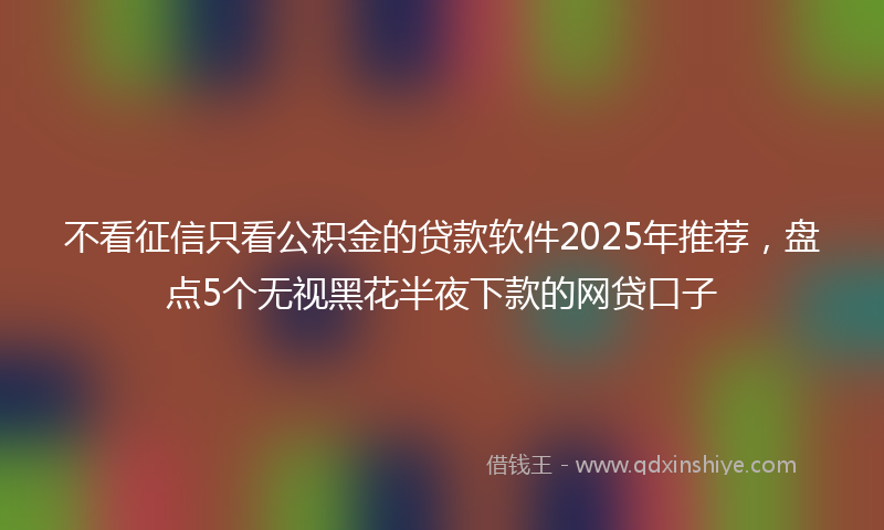 不看征信只看公积金的贷款软件2025年推荐，盘点5个无视黑花半夜下款的网贷口子