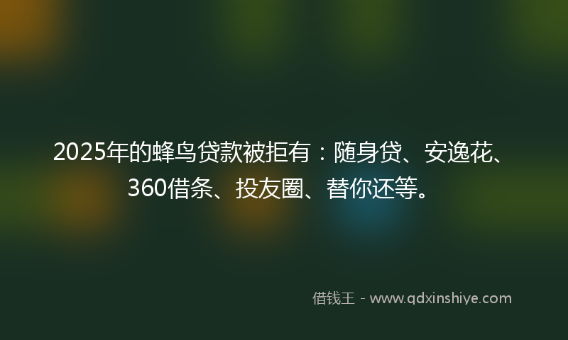 2025年的蜂鸟贷款被拒有：随身贷、安逸花、360借条、投友圈、替你还等。