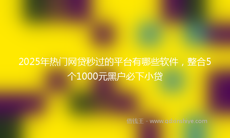 2025年热门网贷秒过的平台有哪些软件，整合5个1000元黑户必下小贷