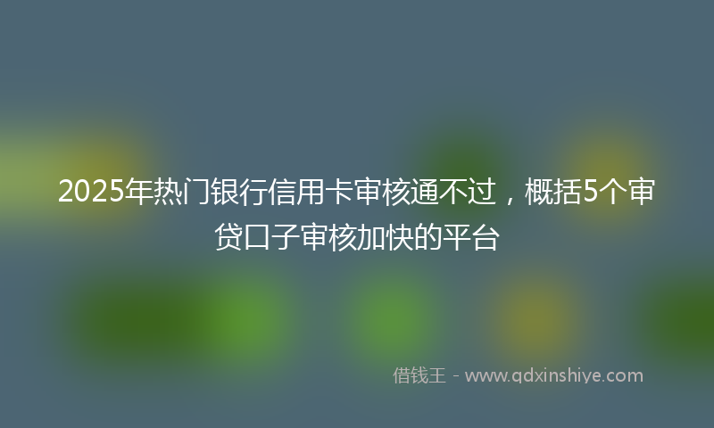2025年热门银行信用卡审核通不过，概括5个审贷口子审核加快的平台