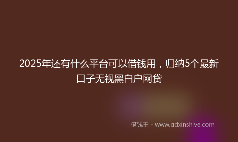 2025年还有什么平台可以借钱用,归纳5个最新口子无视黑白户网贷