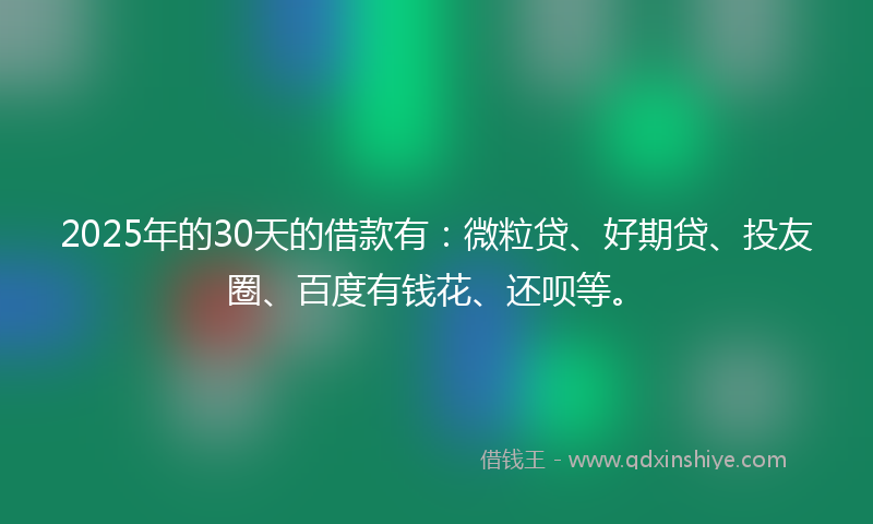 2025年的30天的借款有：微粒贷、好期贷、投友圈、百度有钱花、还呗等。