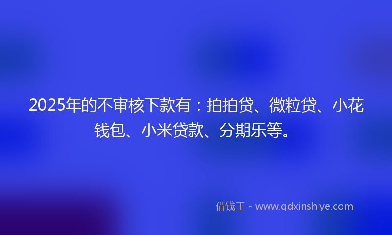 2025年的不审核下款有：拍拍贷、微粒贷、小花钱包、小米贷款、分期乐等。