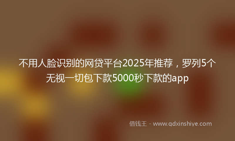 不用人脸识别的网贷平台2025年推荐，罗列5个无视一切包下款5000秒下款的app