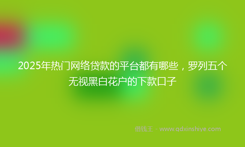 2025年热门网络贷款的平台都有哪些，罗列五个无视黑白花户的下款口子