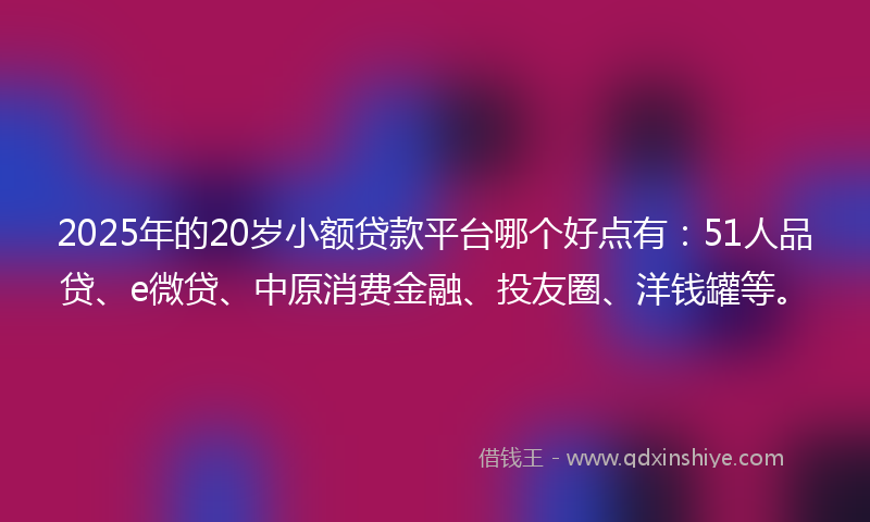 2025年的20岁小额贷款平台哪个好点有：51人品贷、e微贷、中原消费金融、投友圈、洋钱罐等。