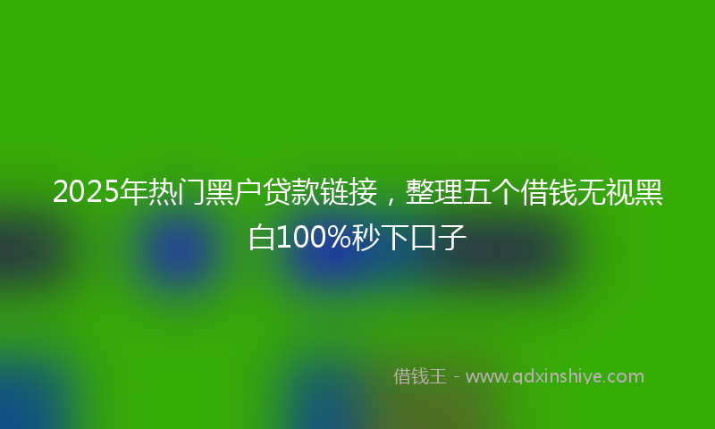 2025年热门黑户贷款链接,整理五个借钱无视黑白100%秒下口子