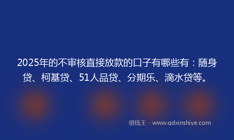 2025年的不审核直接放款的口子有哪些有：随身贷、柯基贷、51人品贷、分期乐、滴水贷等。