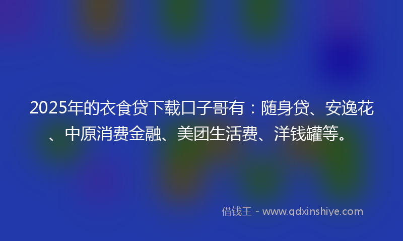 2025年的衣食贷下载口子哥有：随身贷、安逸花、中原消费金融、美团生活费、洋钱罐等。