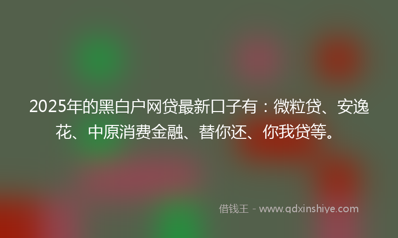2025年的黑白户网贷最新口子有：微粒贷、安逸花、中原消费金融、替你还、你我贷等。