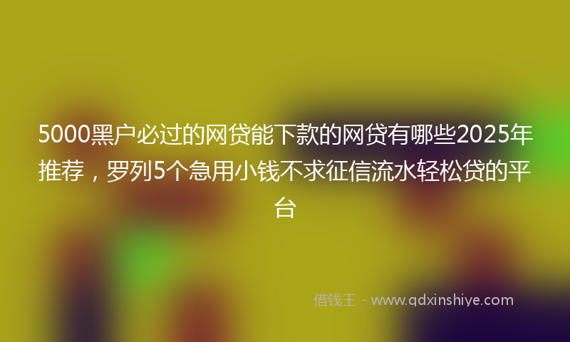 5000黑户必过的网贷能下款的网贷有哪些2025年推荐，罗列5个急用小钱不求征信流水轻松贷的平台
