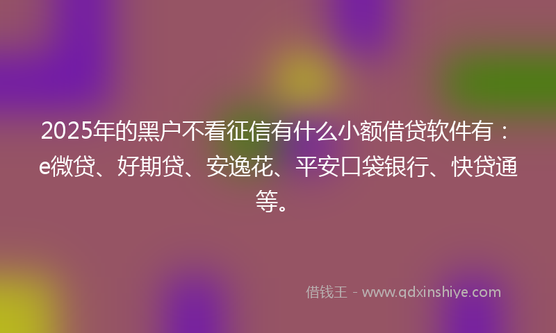 2025年的黑户不看征信有什么小额借贷软件有：e微贷、好期贷、安逸花、平安口袋银行、快贷通等。