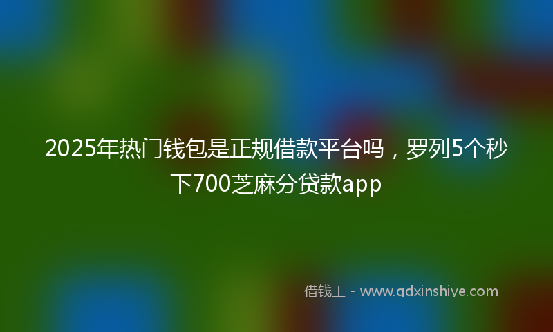 2025年热门钱包是正规借款平台吗，罗列5个秒下700芝麻分贷款app