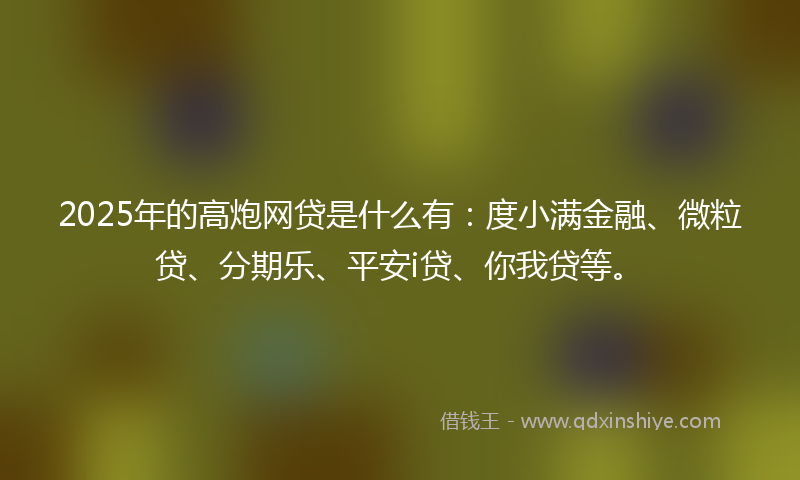 2025年的高炮网贷是什么有：度小满金融、微粒贷、分期乐、平安i贷、你我贷等。