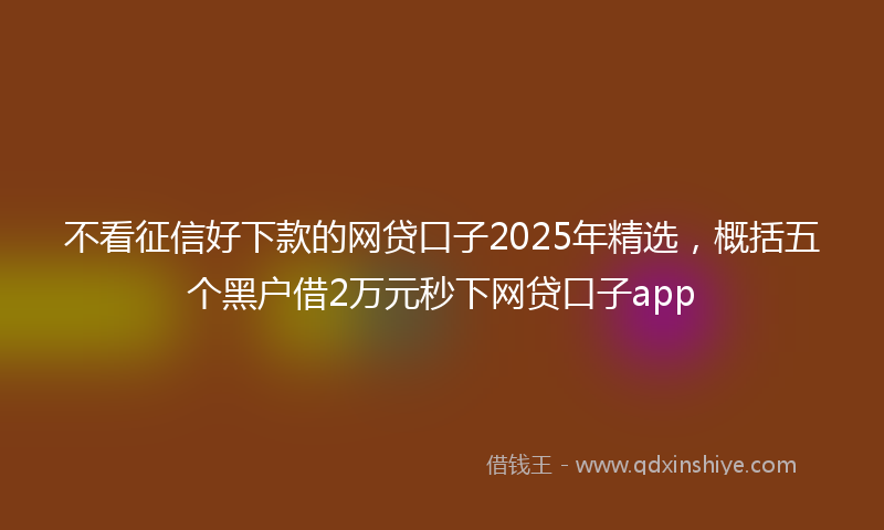 不看征信好下款的网贷口子2025年精选，概括五个黑户借2万元秒下网贷口子app
