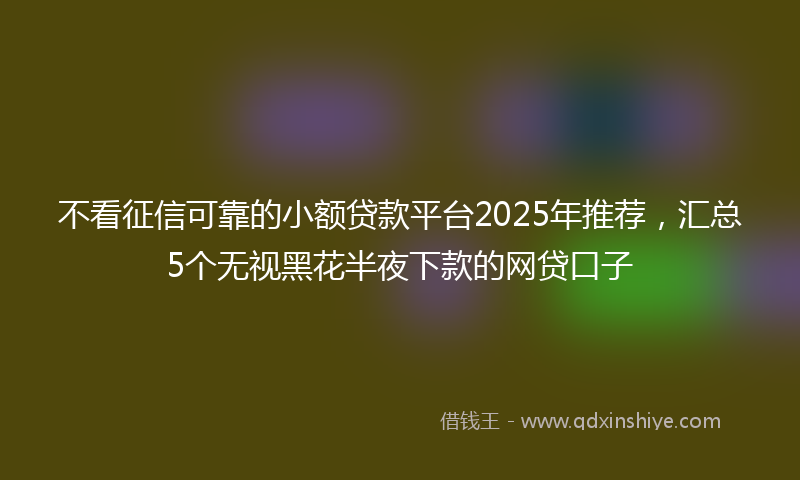 不看征信可靠的小额贷款平台2025年推荐，汇总5个无视黑花半夜下款的网贷口子