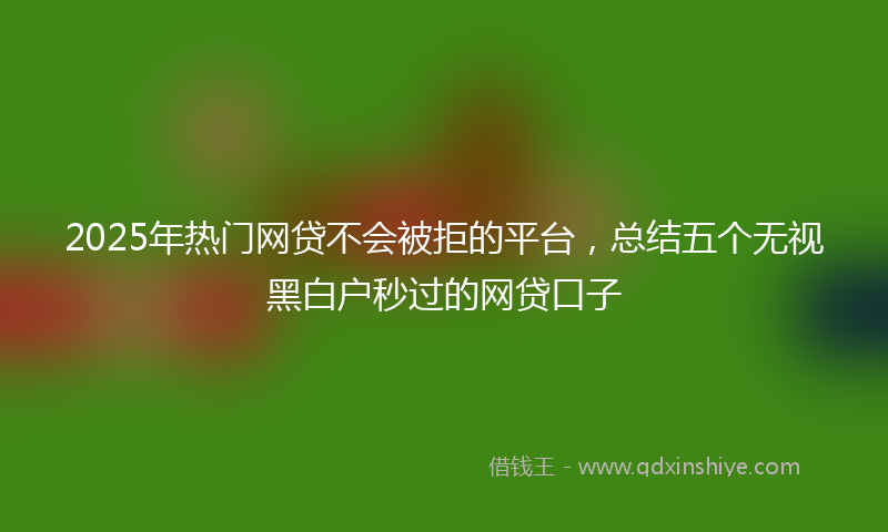 2025年热门网贷不会被拒的平台，总结五个无视黑白户秒过的网贷口子