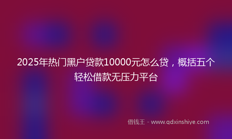 2025年热门黑户贷款10000元怎么贷，概括五个轻松借款无压力平台