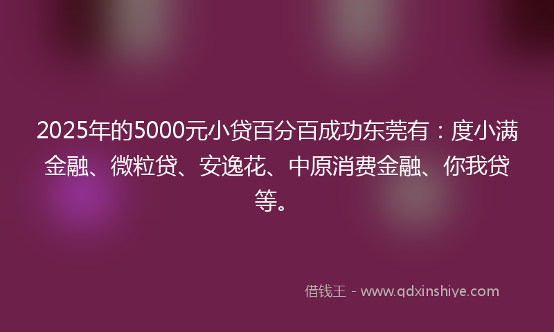 2025年的5000元小贷百分百成功东莞有：度小满金融、微粒贷、安逸花、中原消费金融、你我贷等。