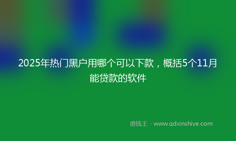 2025年热门黑户用哪个可以下款，概括5个11月能贷款的软件