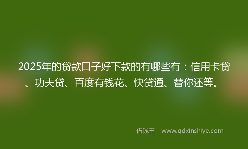 2025年的贷款口子好下款的有哪些有：信用卡贷、功夫贷、百度有钱花、快贷通、替你还等。