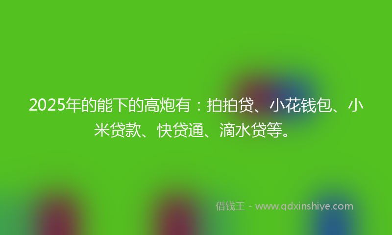 2025年的能下的高炮有：拍拍贷、小花钱包、小米贷款、快贷通、滴水贷等。