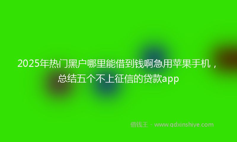 2025年热门黑户哪里能借到钱啊急用苹果手机，总结五个不上征信的贷款app