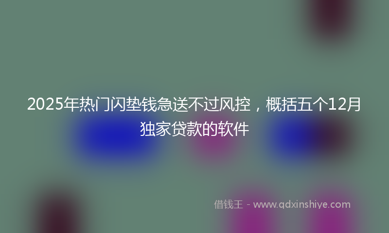 2025年热门闪垫钱急送不过风控，概括五个12月独家贷款的软件