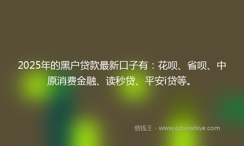 2025年的黑户贷款最新口子有：花呗、省呗、中原消费金融、读秒贷、平安i贷等。