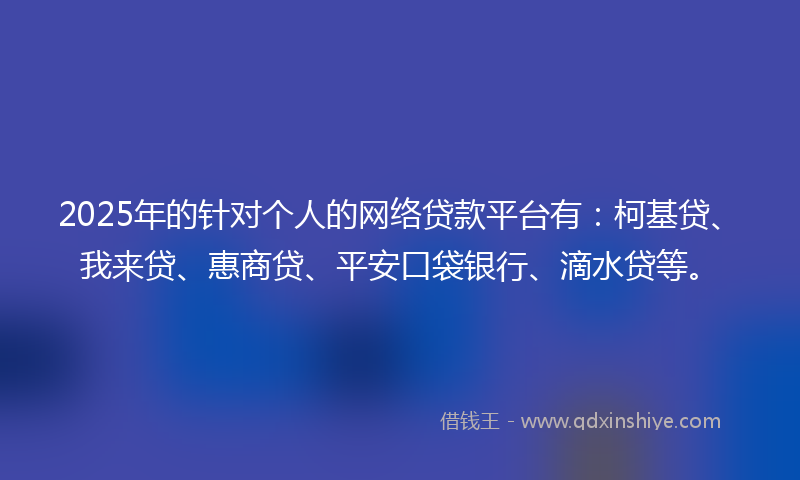 2025年的针对个人的网络贷款平台有：柯基贷、我来贷、惠商贷、平安口袋银行、滴水贷等。