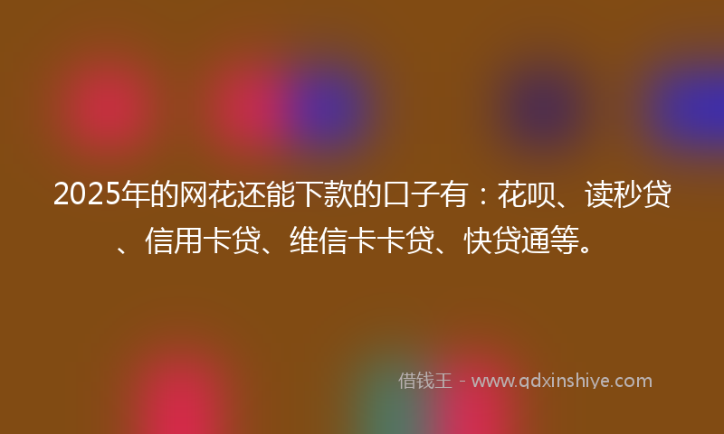 2025年的网花还能下款的口子有：花呗、读秒贷、信用卡贷、维信卡卡贷、快贷通等。