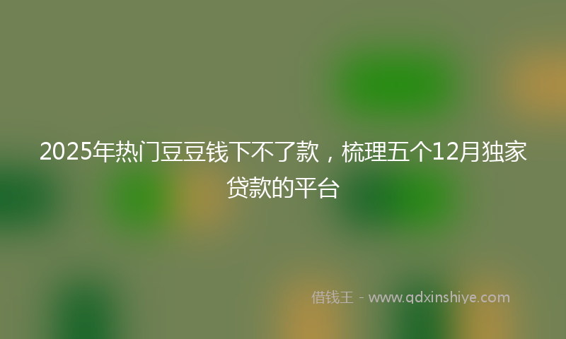 2025年热门豆豆钱下不了款，梳理五个12月独家贷款的平台