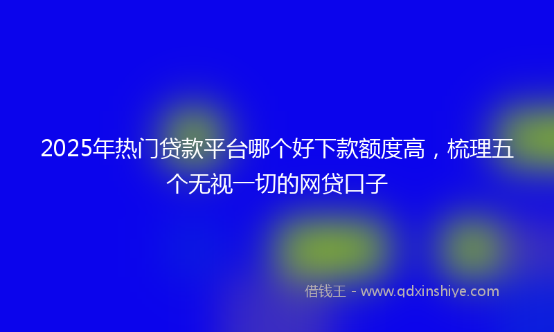 2025年热门贷款平台哪个好下款额度高，梳理五个无视一切的网贷口子
