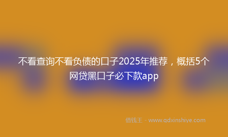 不看查询不看负债的口子2025年推荐，概括5个网贷黑口子必下款app