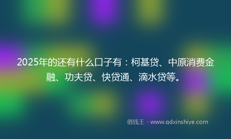 2025年的还有什么口子有：柯基贷、中原消费金融、功夫贷、快贷通、滴水贷等。